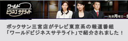 ワールドビジネスサテライト