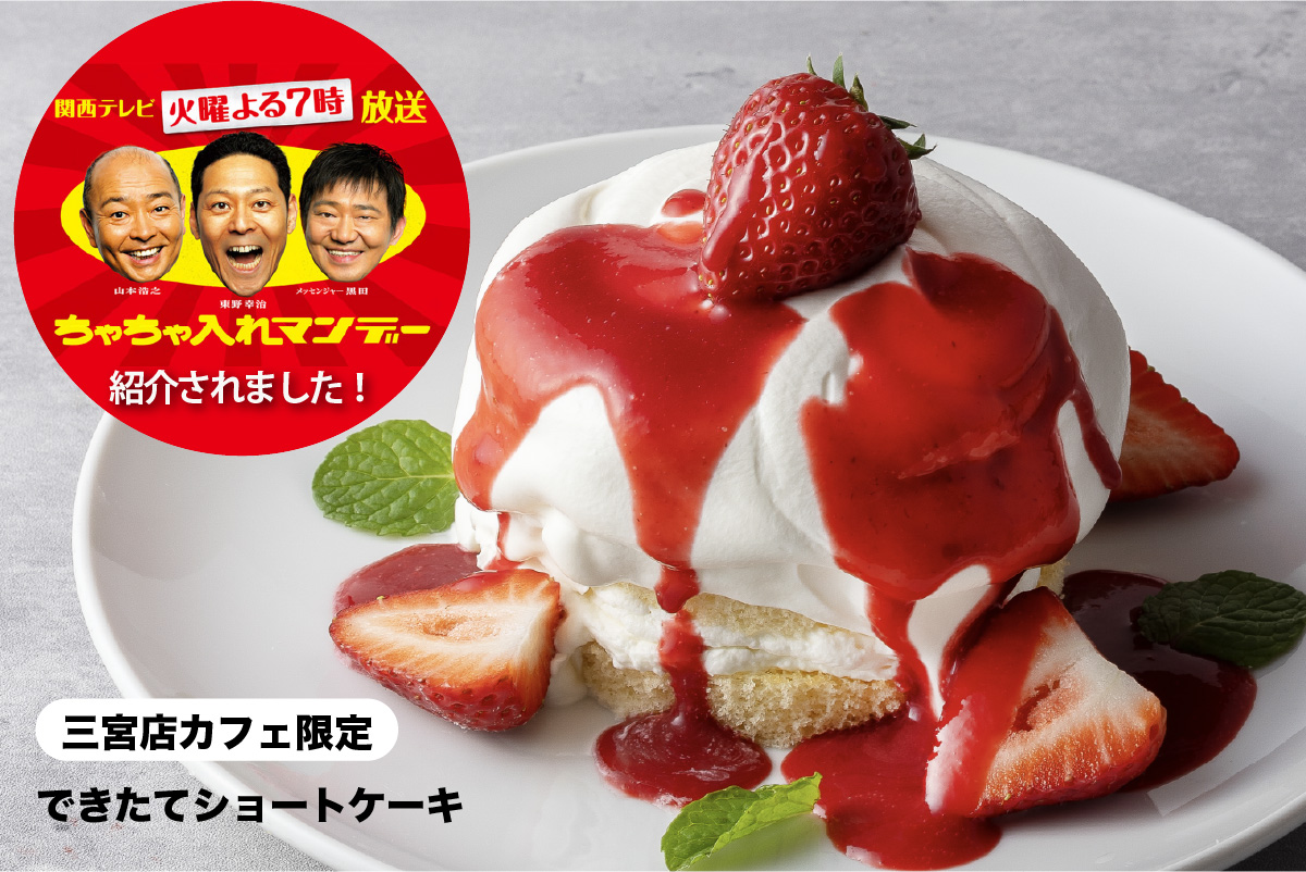 ちゃちゃ入れマンデーオンエア