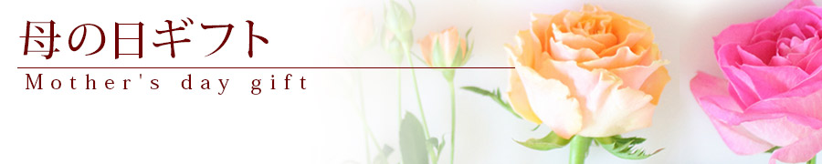 ��̓��M�t�g