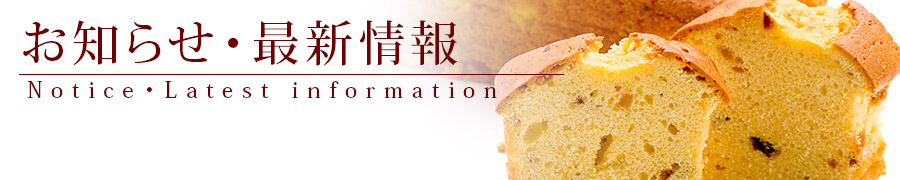 m点EŐV