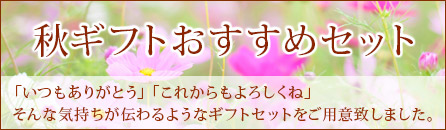 秋ギフトおすすめセット