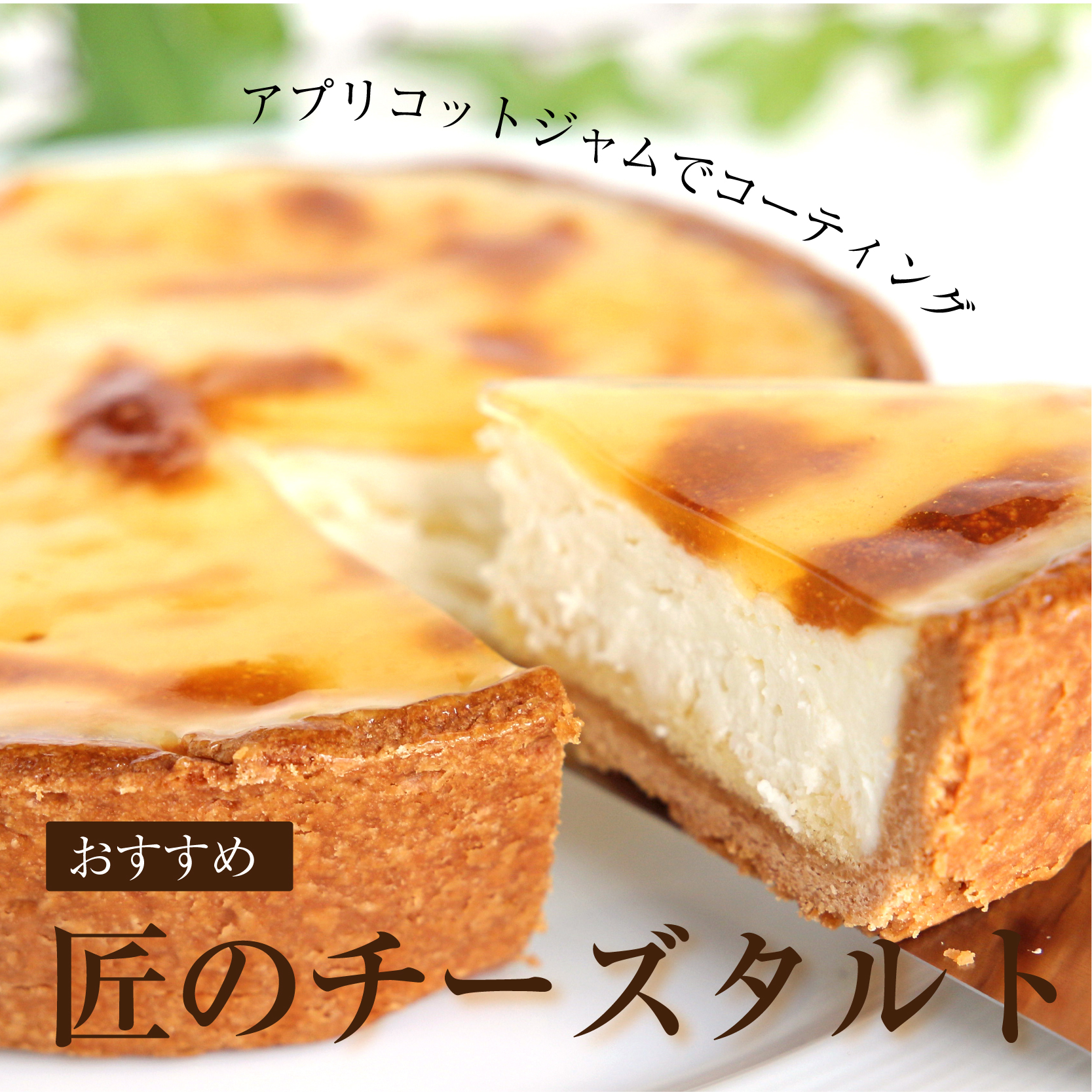 匠のチーズタルト