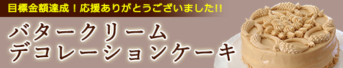 Makuake限定商品