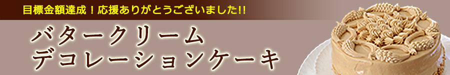 Makuake限定商品